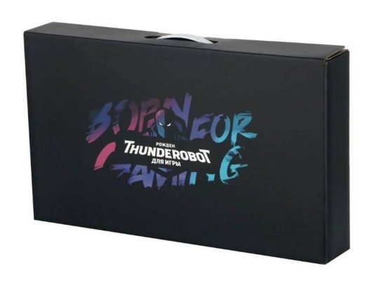 Ноутбук игровой Thunderobot 911 X Wild Hunter G2 L/Core i5 12400H/16Gb/512Gb/15.6 FHD IPS/RTX4050 6Gb/Win11Pro серый